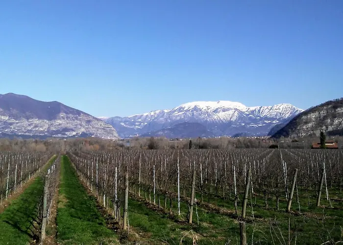 Cascina San Martino