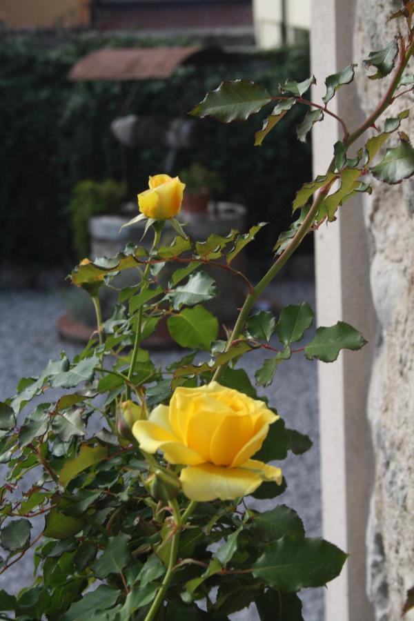 Cascina San Martino Bed & Breakfast 3*