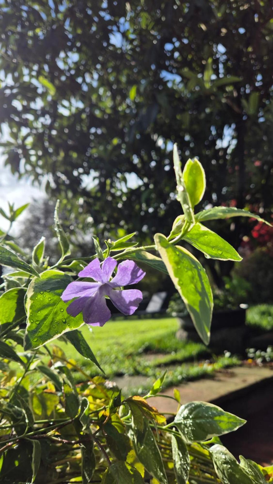 Bed & Breakfast Cascina San Martino Passirano