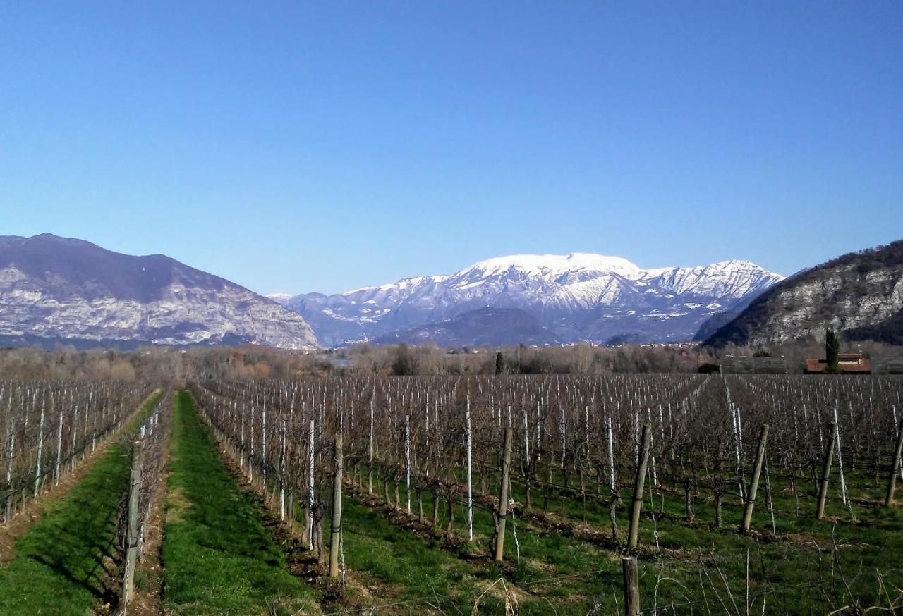 Cascina San Martino